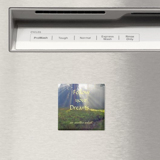 Folgen Sie Ihrem Kostensatz-Magnet Magnet (In Situ (Geschirrspüler))