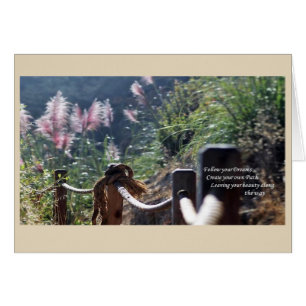 Folgen Sie Ihrem Weg