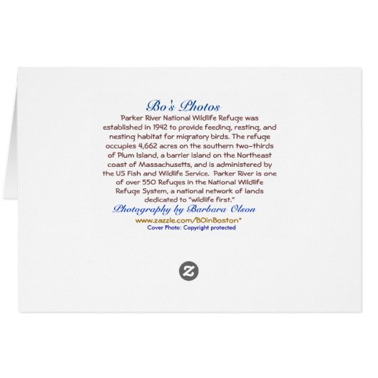 Folgen Sie Ihrem Weg: Plum Island, MA (Rückseite Horizontal)