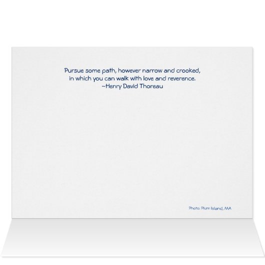 Folgen Sie Ihrem Weg: Plum Island, MA (Innenansicht Horizontal (Oben))