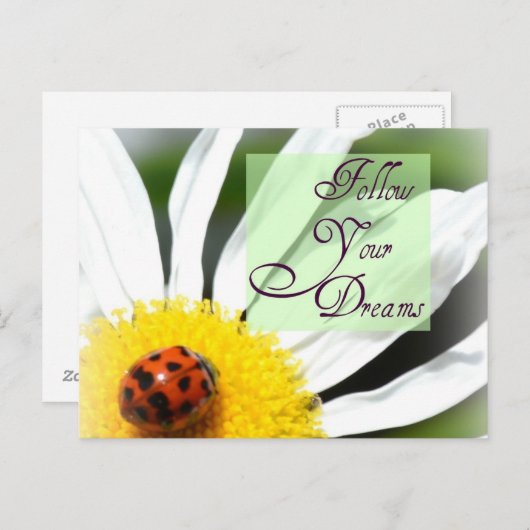 Folgen Sie Ihren Träumen Ladybug Post Card Postkarte (Vorne/Hinten)