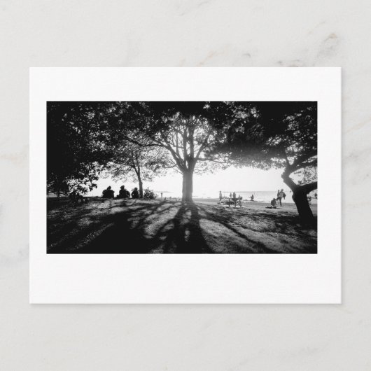 Folgen Sie Licht 1 Postkarte (Vorderseite)