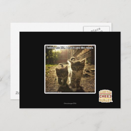 Folgen Sie mir Kid Postkarte (Vorne/Hinten)