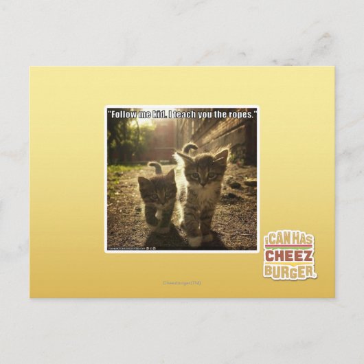 Folgen Sie mir Kid Postkarte (Vorderseite)