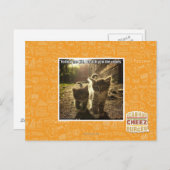 Folgen Sie mir Kid Postkarte (Vorne/Hinten)