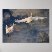 Folgen Sie mir Poster (Vorne)