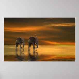 Folgen Sie mir zwei Poster