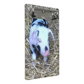 folgendes niedliches Ferkel Mini Klemmbrett (Schrägansicht)