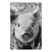 folgendes niedliches Ferkel Mini Klemmbrett (Rückseite)