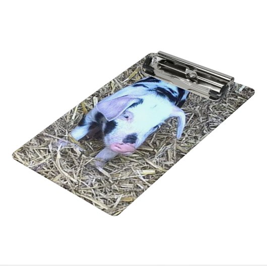folgendes niedliches Ferkel Mini Klemmbrett (Gewinkelt3)