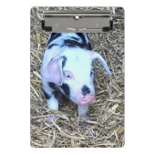 folgendes niedliches Ferkel Mini Klemmbrett (Vorderseite)