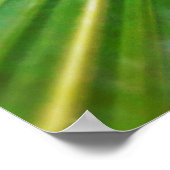 folhas de palmeira poster (Ecke)