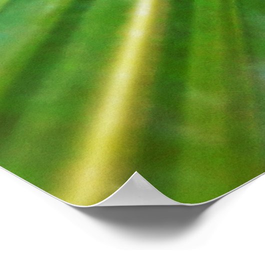 folhas de palmeira poster (Ecke)