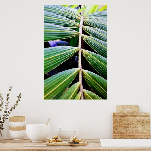 folhas de palmeira poster (Küche)