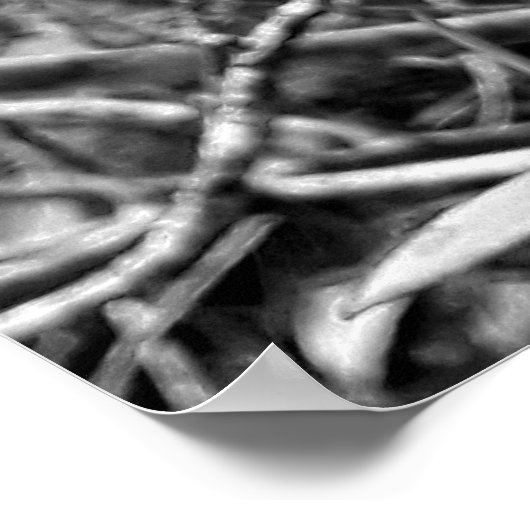 folhas em vida1 poster (Ecke)