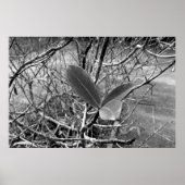 folhas em vida1 poster (Vorne)