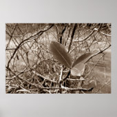 folhas em vida2 poster (Vorne)