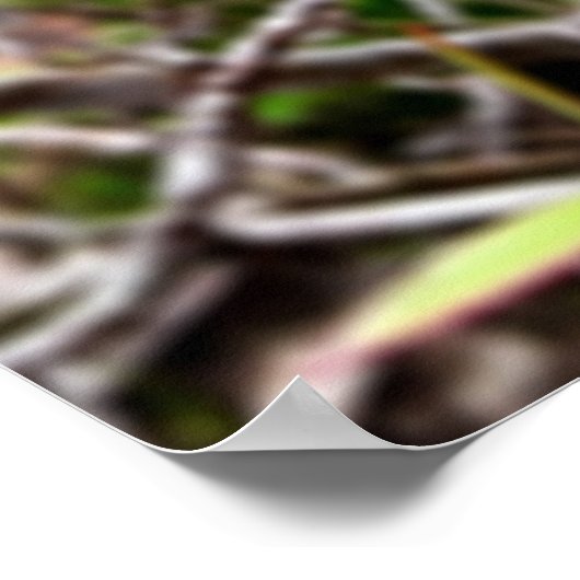 folhas em vida4 poster (Ecke)