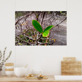 folhas em vida4 poster (Küche)