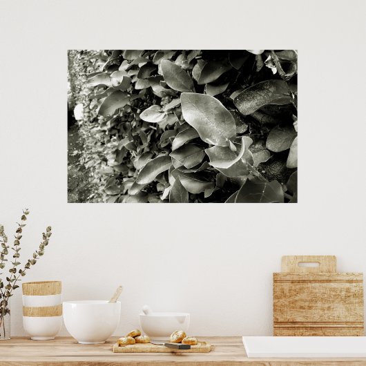 folhas poster (Küche)