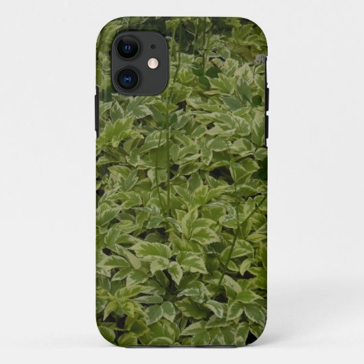 Foliage Case-Mate iPhone Hülle (Rückseite)