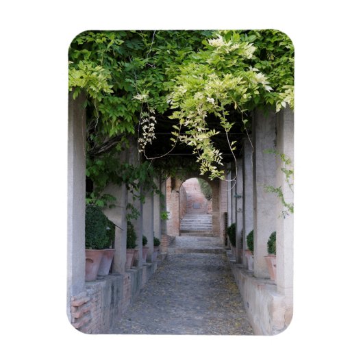 Foliage Covered Walkway, Spanien Magnet (Vertikal)