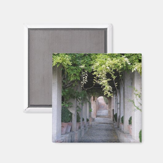 Foliage Covered Walkway, Spanien Magnet (Vorderseite/Rückseite)
