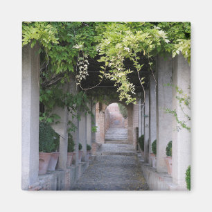 Foliage Covered Walkway, Spanien Magnet