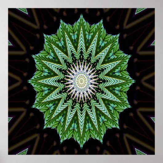 Foliage Mandala....... Poster (Vorne)