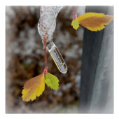 Folie Poster (Vorderseite)