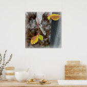 Folie Poster (Küche)