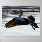 Folie Poster (Vorne)