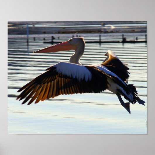 Folie Poster (Vorne)