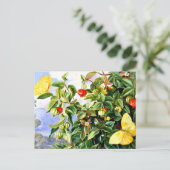 Folien, Blume und Früchte der Pitanga, Jamaika Postkarte (Stehend Vorderseite)