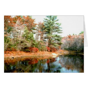 Folien in Spitzenfarben