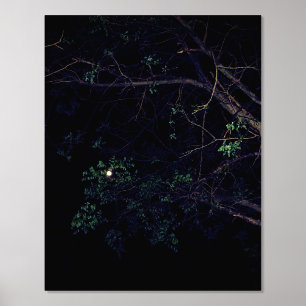 FOLIENDRUCK KUNST- UND DESIGNSTILE FOLIENDRUCKE
