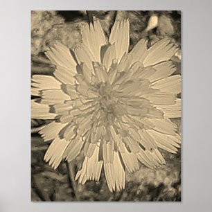 FOLIENDRUCK POSTER KUNST UND DESIGN