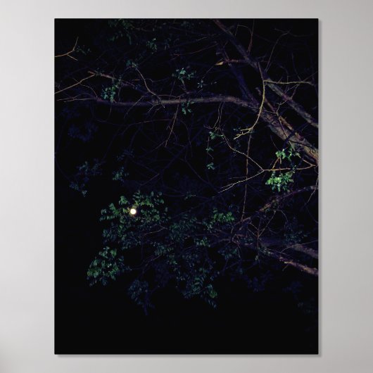 FOLIENDRUCKKUNST UND -DESIGN FOLIENDRUCKE (Vorderseite)