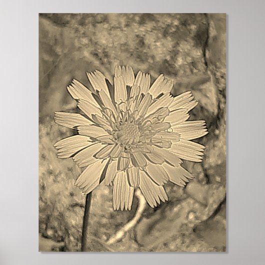 FOLIENDRUCKPOSTER ART UND DESIGN FOLIENDRUCKE (Vorderseite)