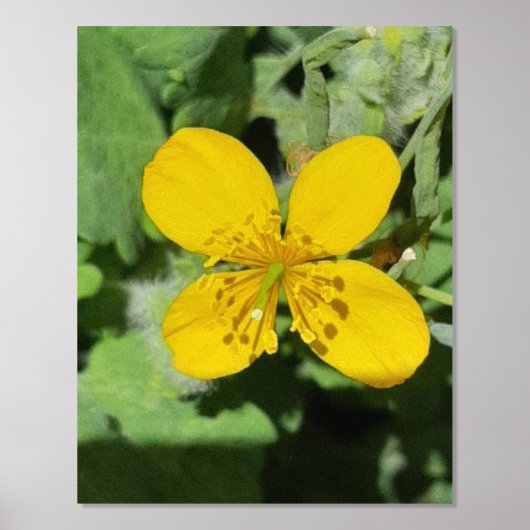 FOLIENDRUCKPOSTER ART UND DESIGN FOLIENDRUCKE (Vorderseite)