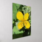 FOLIENDRUCKPOSTER ART UND DESIGN FOLIENDRUCKE (Ablage )