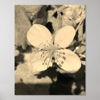 FOLIENDRUCKPOSTER ART UND DESIGN