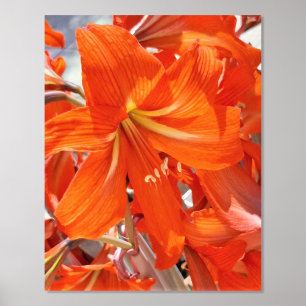 FOLIENDRUCKPOSTER ART UND DESIGN FOLIENDRUCKE