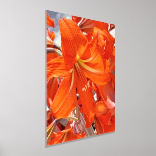 FOLIENDRUCKPOSTER ART UND DESIGN FOLIENDRUCKE (Ablage )