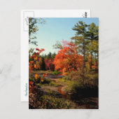 Foliensaison New England Postkarten (Vorne/Hinten)