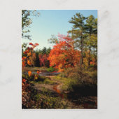 Foliensaison New England Postkarten (Vorderseite)