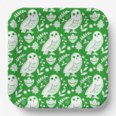 Folk Art Wise Snow Owl | Green Pappteller (Vorderseite)