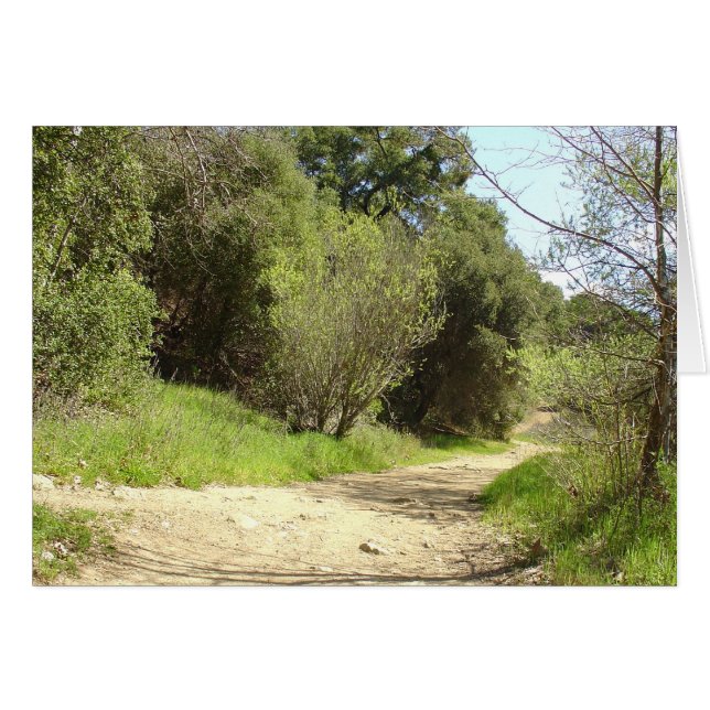 Follow-me (Vorderseite (Horizontal))