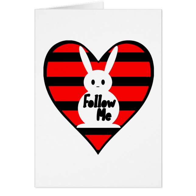 Follow-meweiß-Kaninchen (Vorne)