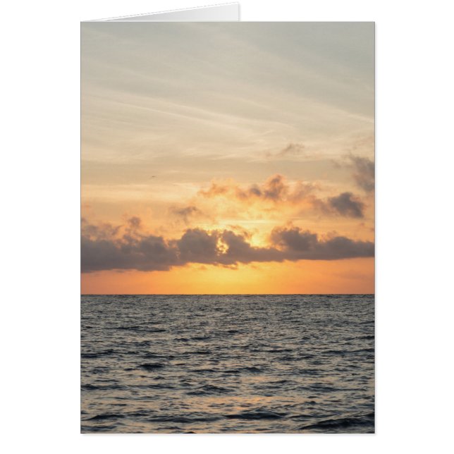 Folly Beach Morning (Vorne)